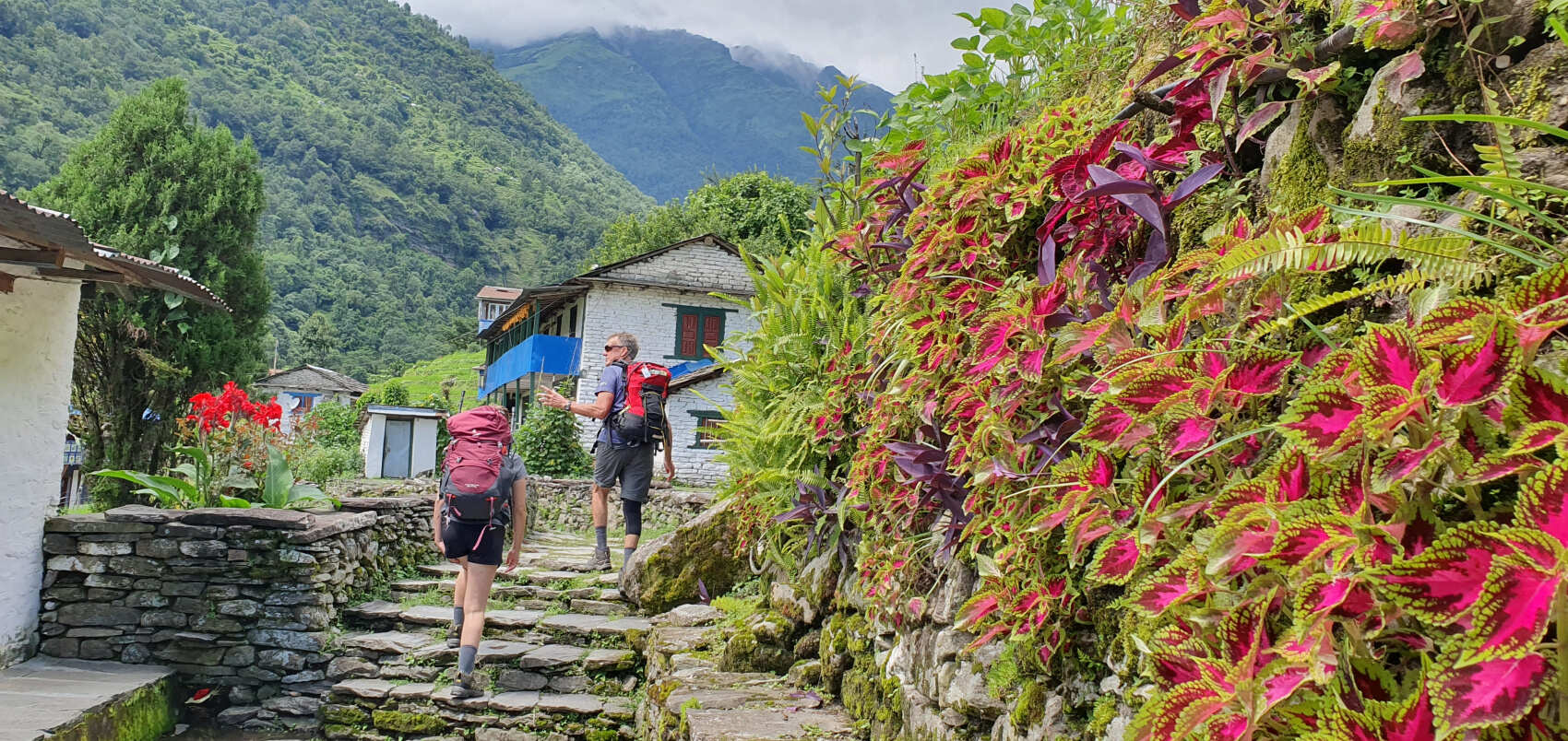 Треккинг и сафари в Непале  (2/37)