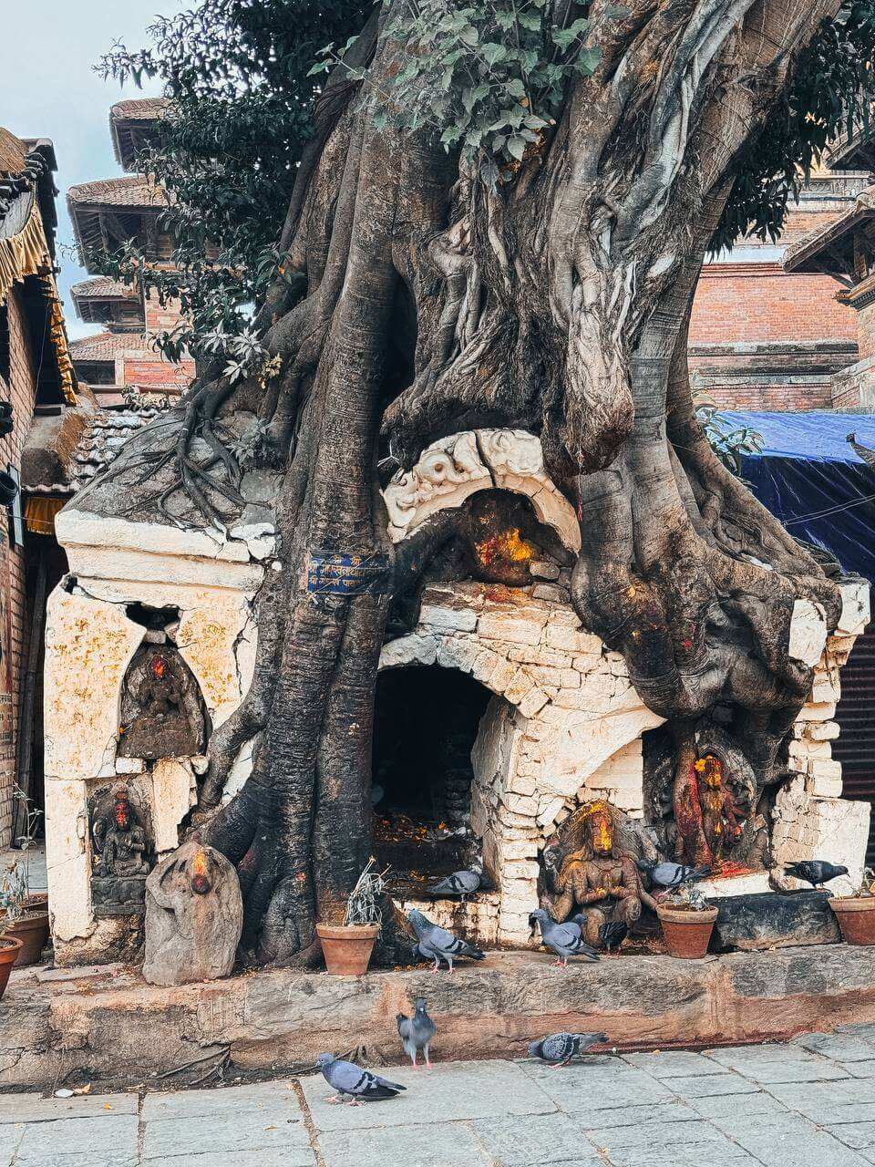 Загадочный Катманду: город Богов и легенд (18/24)