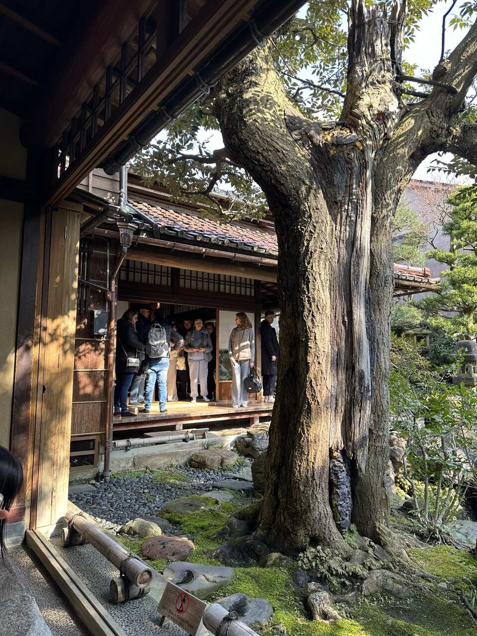 Япония: фестиваль фейерверков и пляжи Окинавы (2/37)