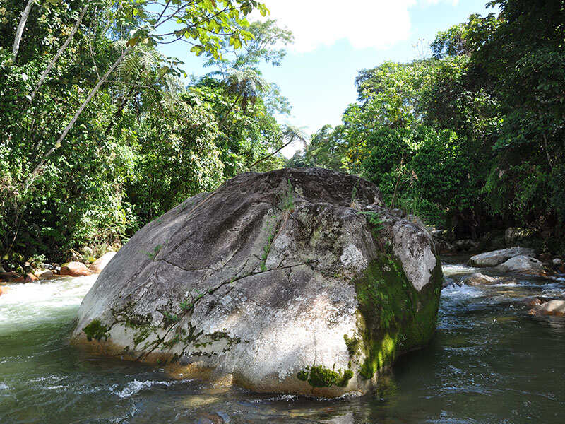 4-дневный лодж Amazon Tena (8/8)