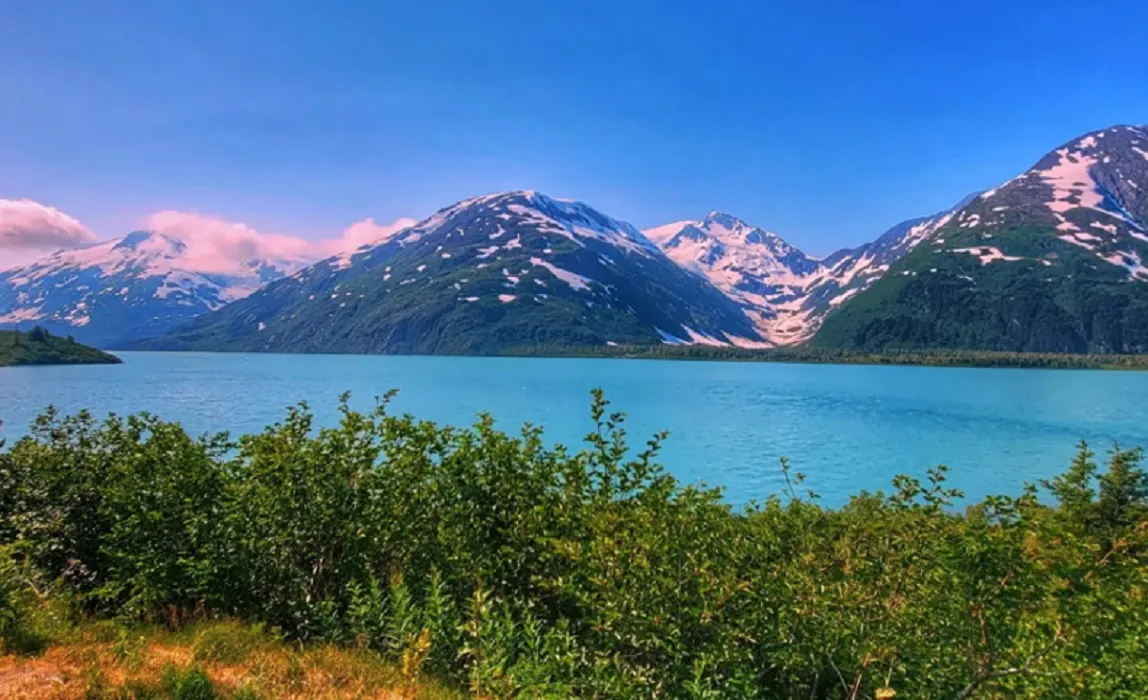 6. Аляска. Лето. Максимальный тур! (2/25)