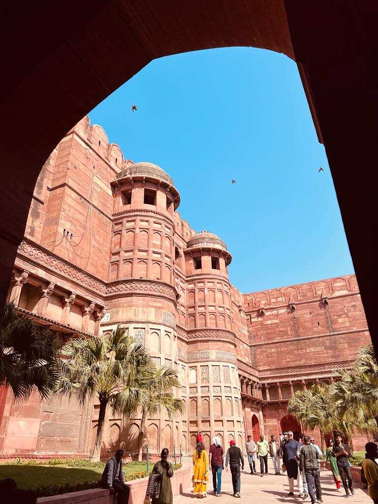 Венеция Индии белый город Удайпур и Золотой Треугольник за 4 дня (24/29)