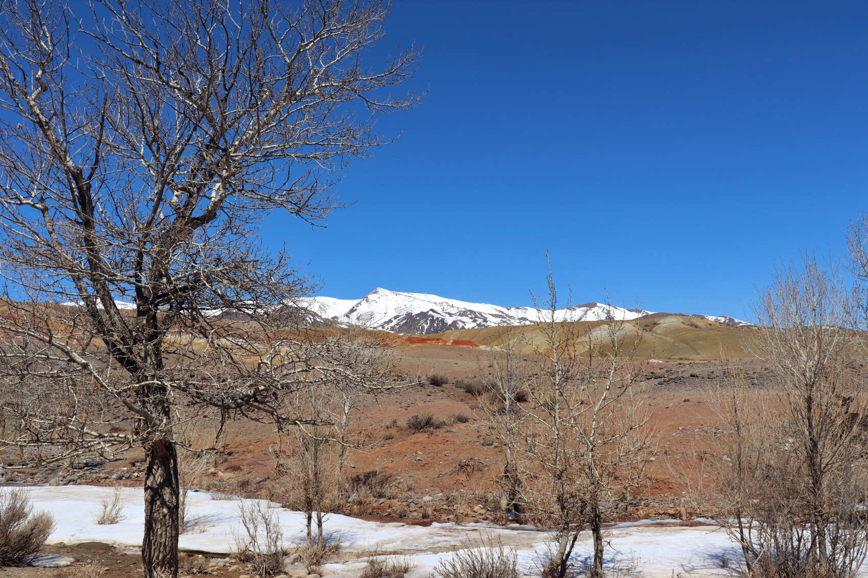  Майские-2026: Чемал, Телецкое, Чуйский тракт и Кату-Ярык (группа до 6 чел.) (16/46)