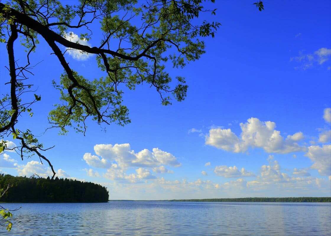 Поход Дорога в Лавру Московское море, (6/13)