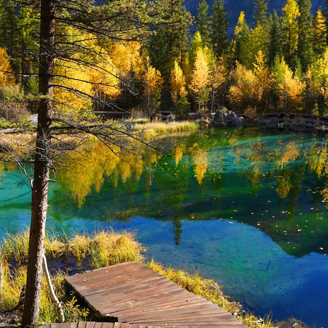 Чуйский тракт (10/10)