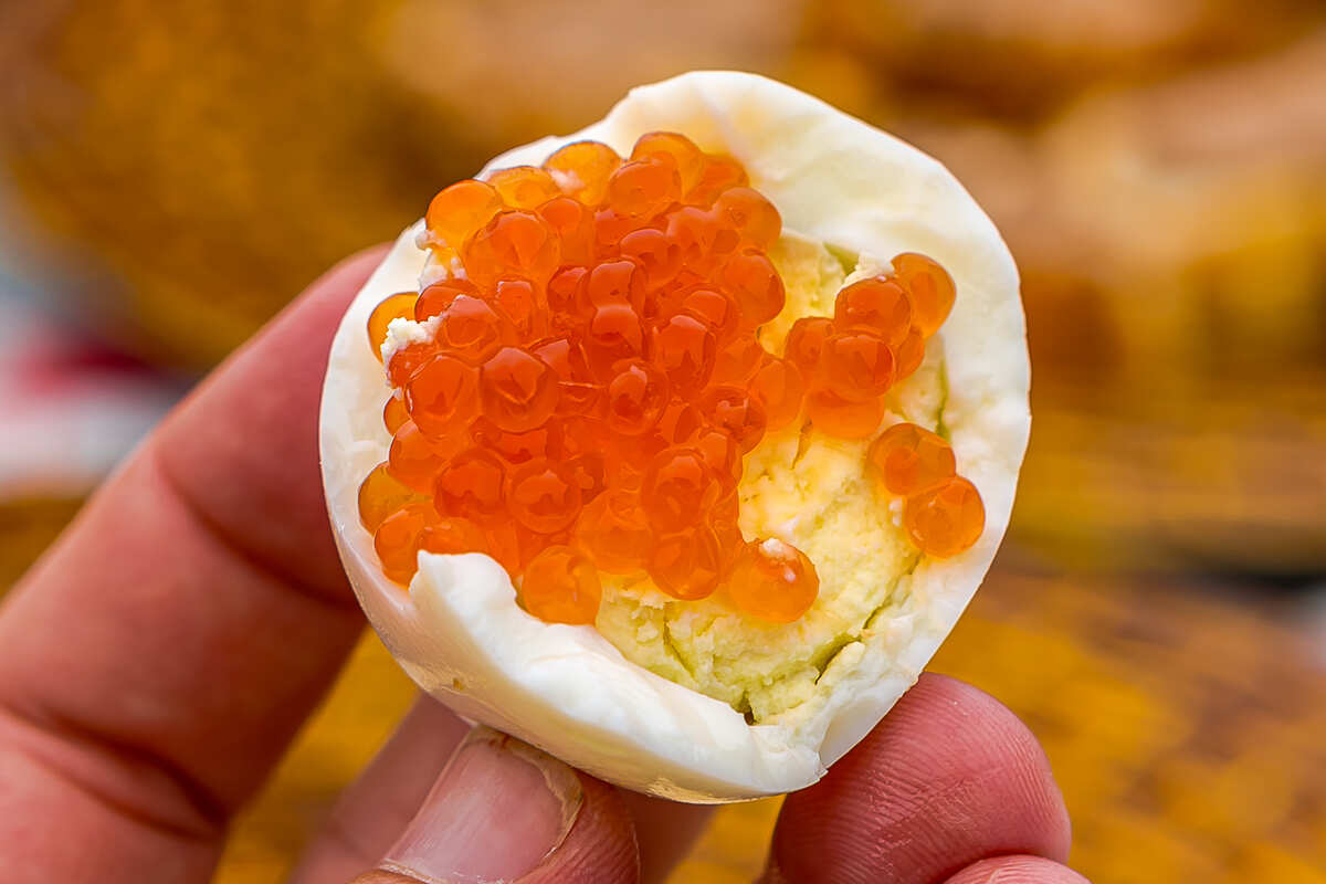 Четыре вулкана Курильских островов. Путешествие на другую планету (71/186)