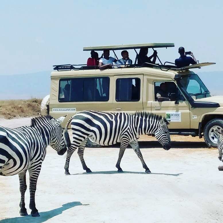 Занзибар: Приключения в Раю (9/55)