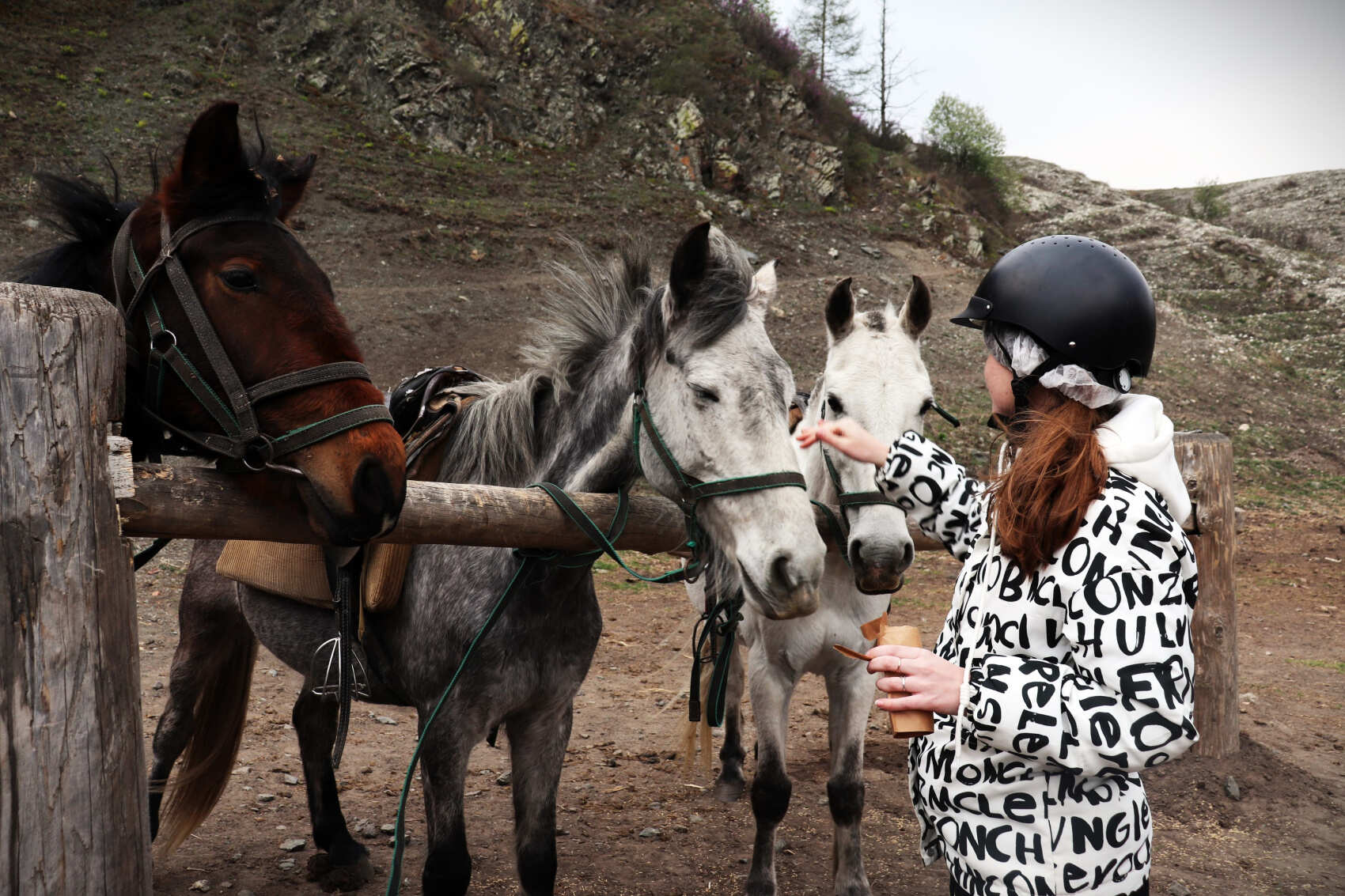 Актив-тур: конные прогулки, трекинг, Чуйский тракт! (8/63)