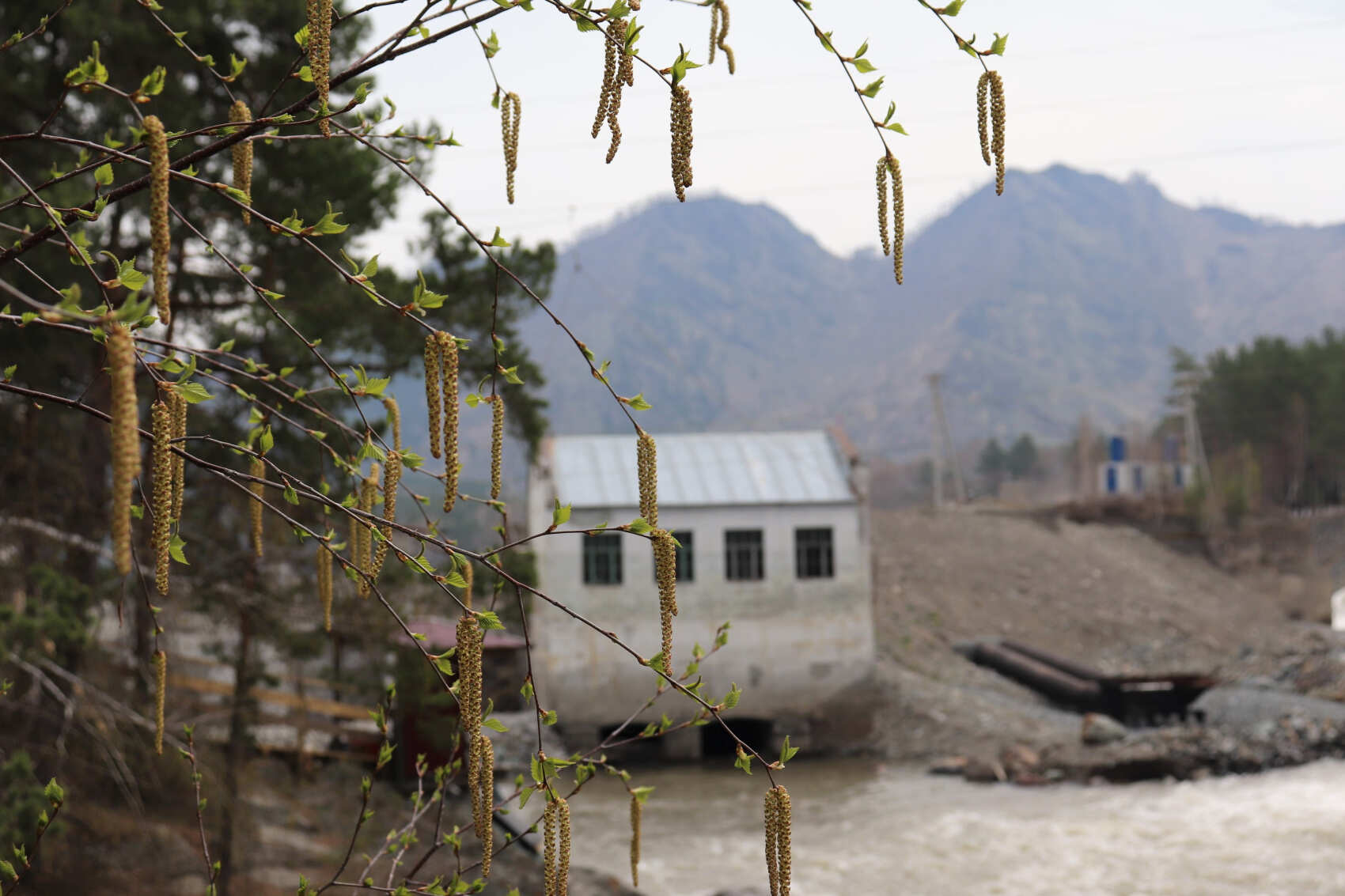  Майские-2026: Чемал, Телецкое, Чуйский тракт и Кату-Ярык (группа до 6 чел.) (18/46)