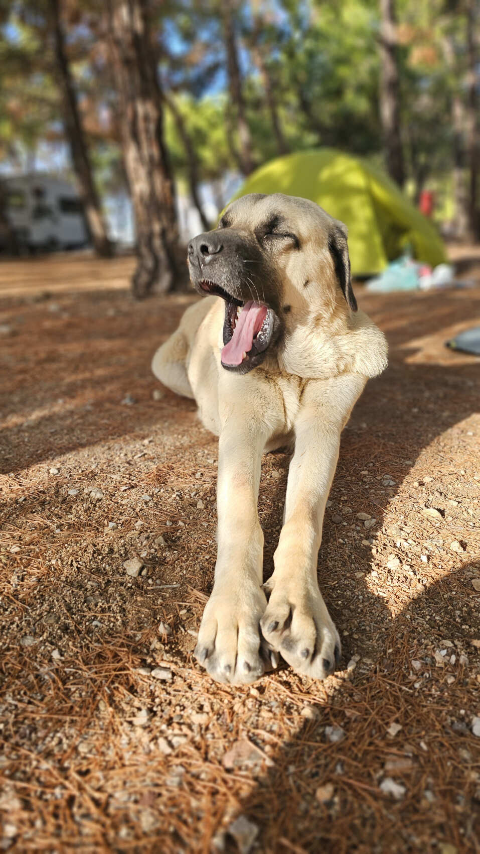 Треккинг по Карийской тропе (8 дней) (13/46)