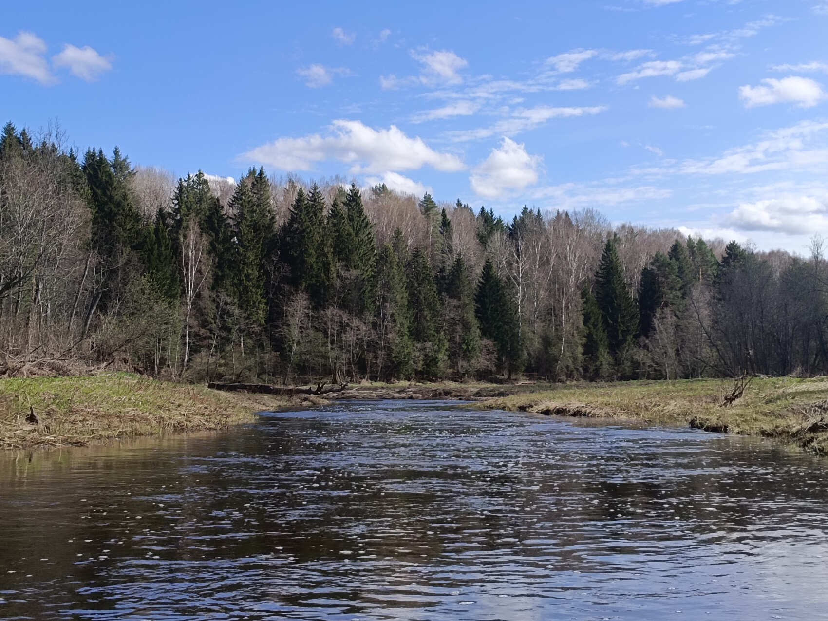 Сплав по реке Дёржа (Тверская обл.) на байдарках (1 день) (13/30)