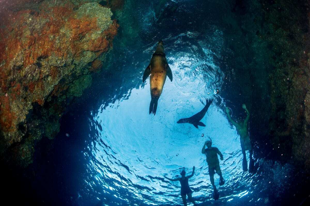 5-дневная приключенческая поездка на Галапагосские острова (2/7)