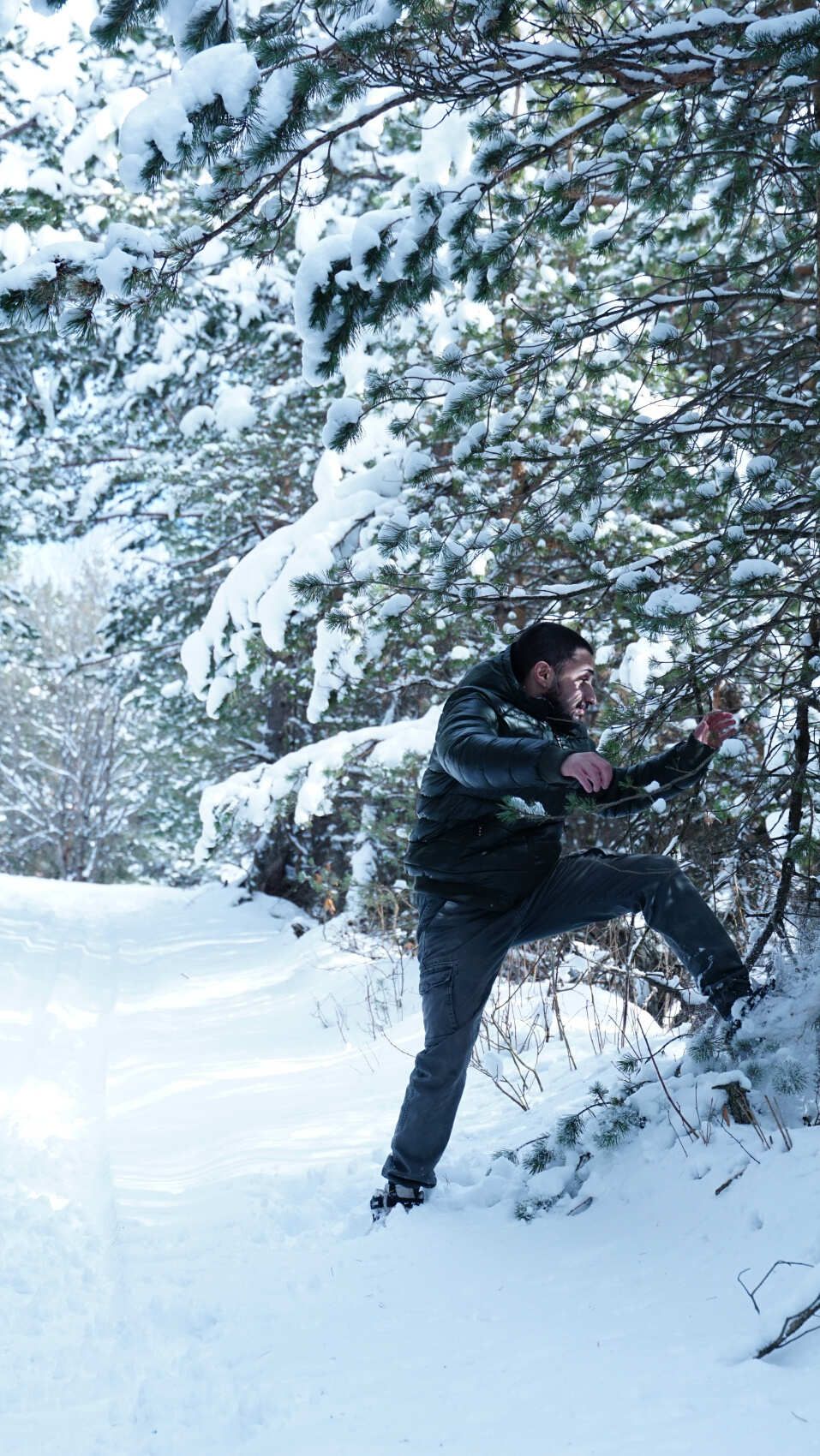 Северная Осетия и Кабардино-Балкария (64/91)