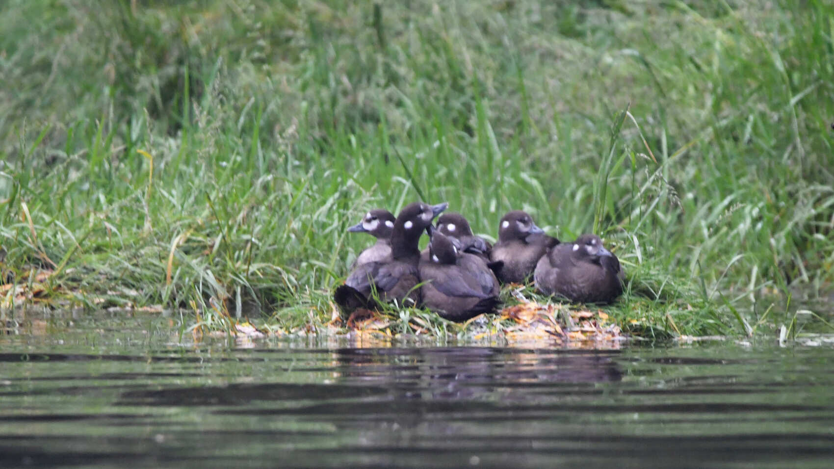 Путешествие по реке Быстрая: прогулка на рафтах, рыбалка, гастро-обед. (5/7)