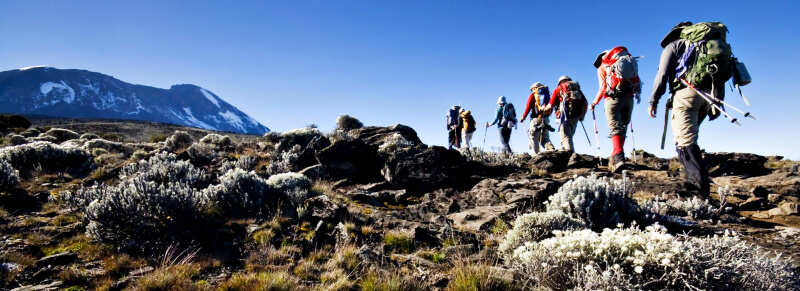 Восхождение на Килиманджаро, 7-дневный маршрут Лемошо, приключение на всю жизнь - группа (6/16)