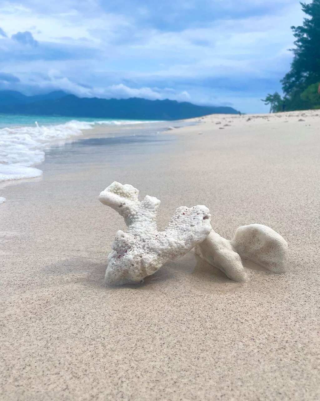 5 островов Индонезии (Бали, Нуса Пенида, Ява, Флорес, Комодо) 13 дней (57/122)