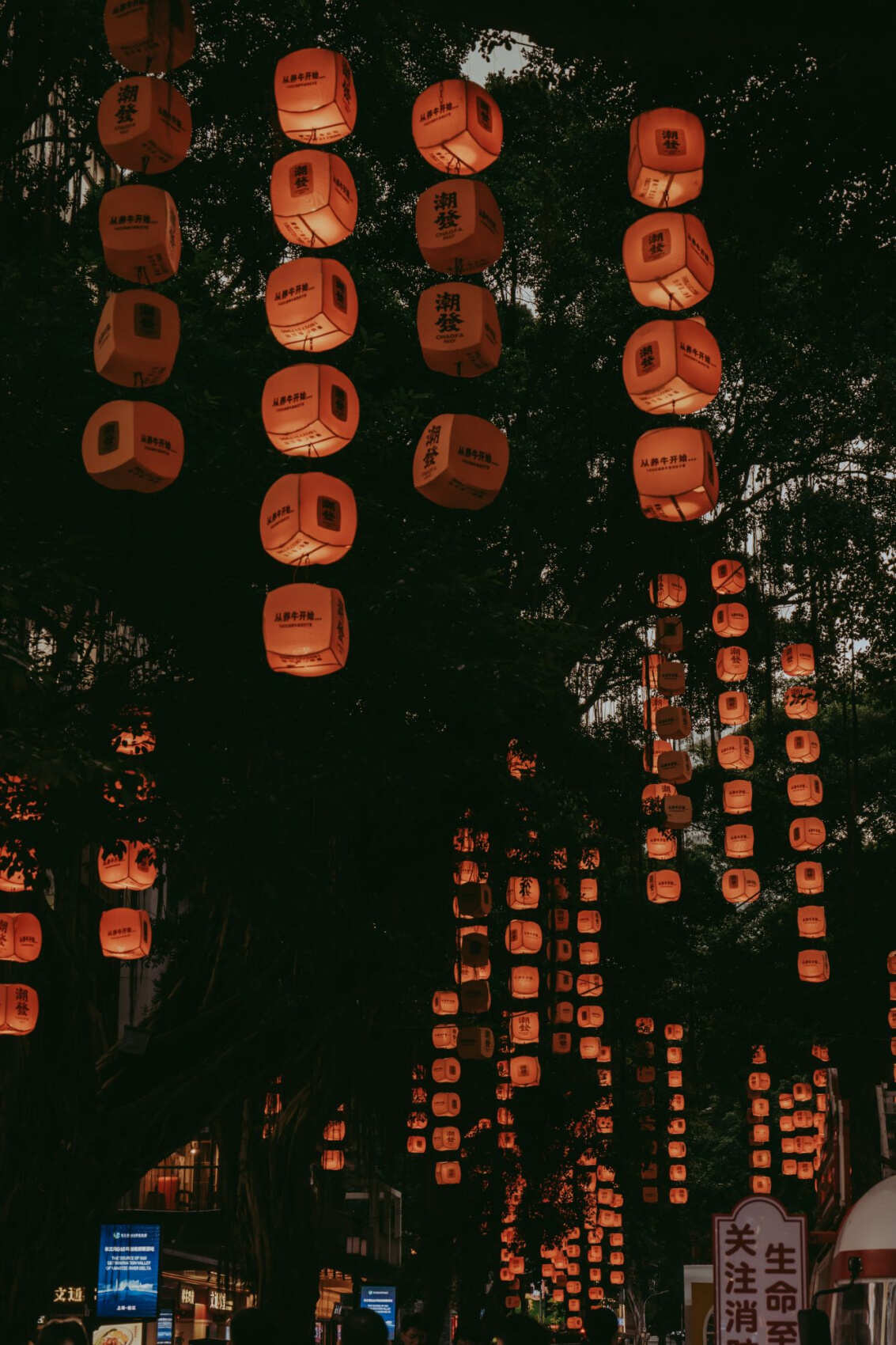 Китай.Поднебесная без границ (5/88)