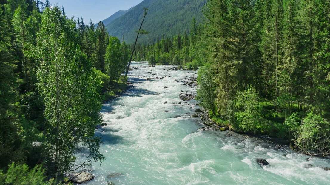Треккинг к подножию Белухи налегке, с конным сопровождением (52/69)