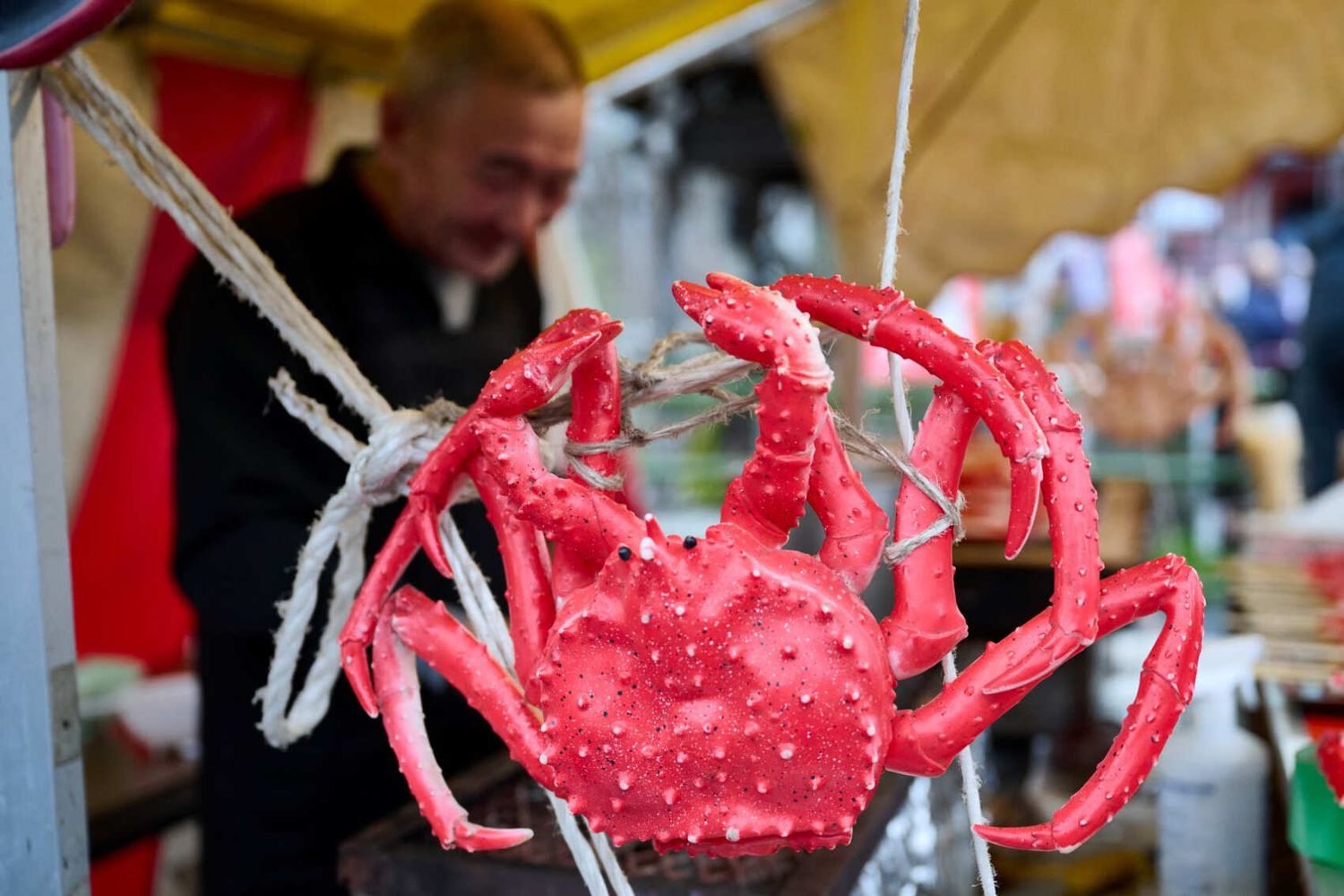 Навстречу гейшам и самураям. Япония на цветение и фестиваль 2026 (19/64)