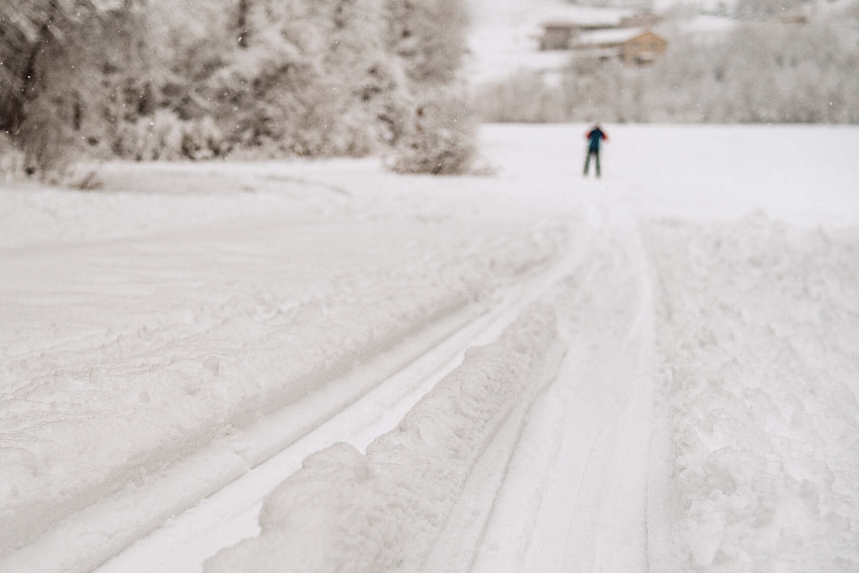 Лыжные тренировки в Санкт-Петербурге. Базовый уровень (13/28)