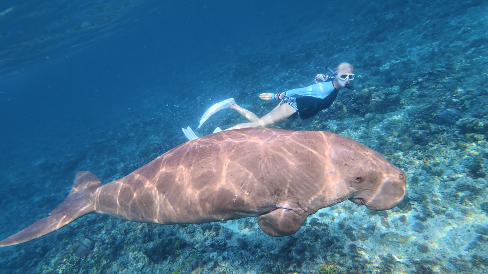 Приключения на Филиппинах: рейд по островам, джунгли и подводный мир (144/150)