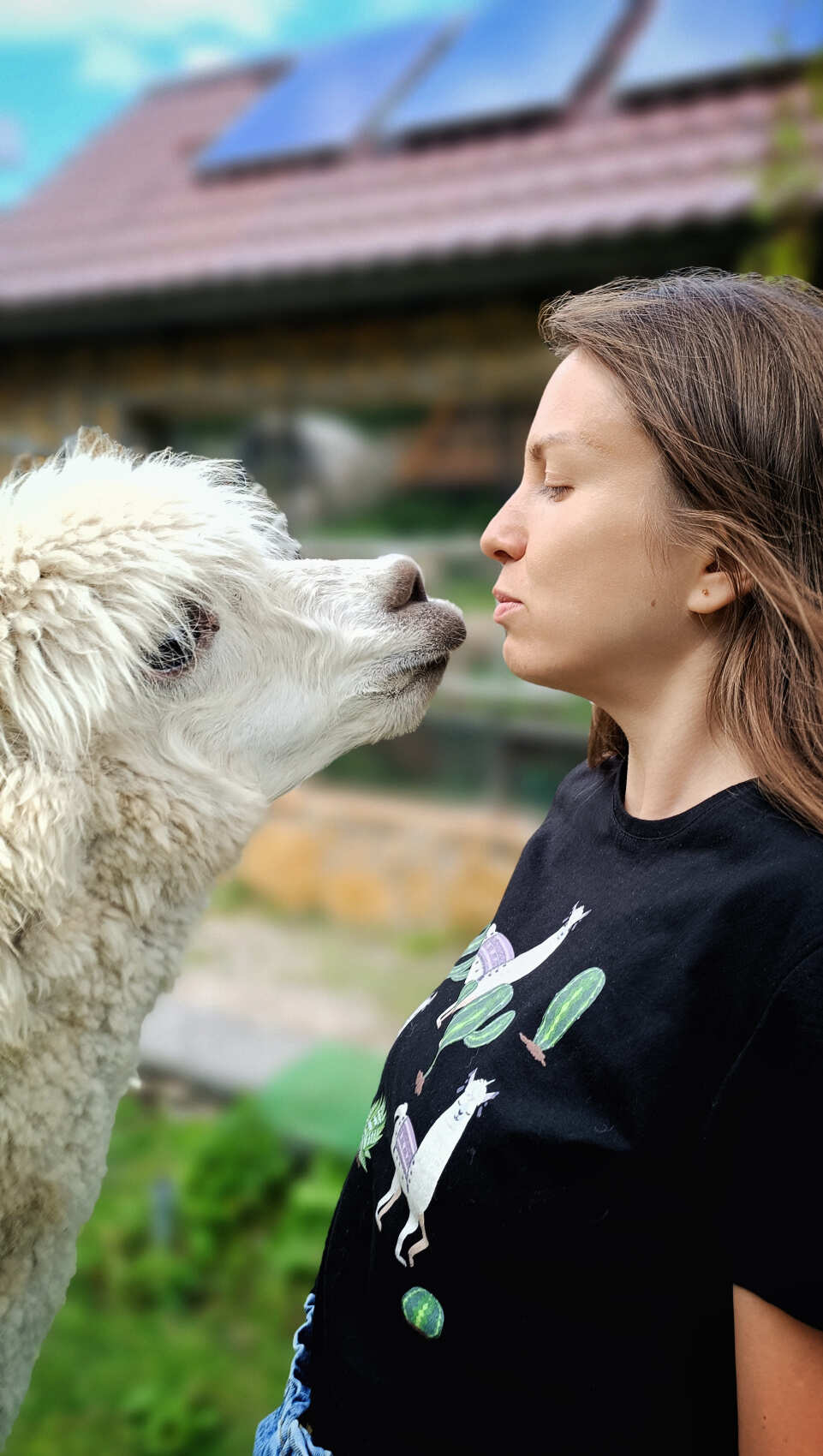 Индивидуальная поездка на ферму альпак — День с плюшевыми милашками (11/18)