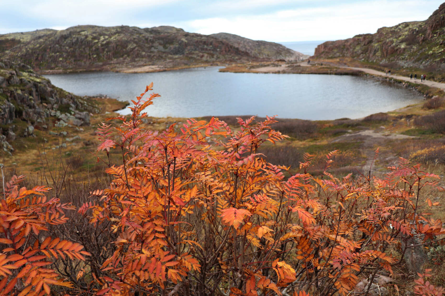 Премиум-глемпинг, этнодеревня и Кировск, Териберка и Мурманск (24/52)