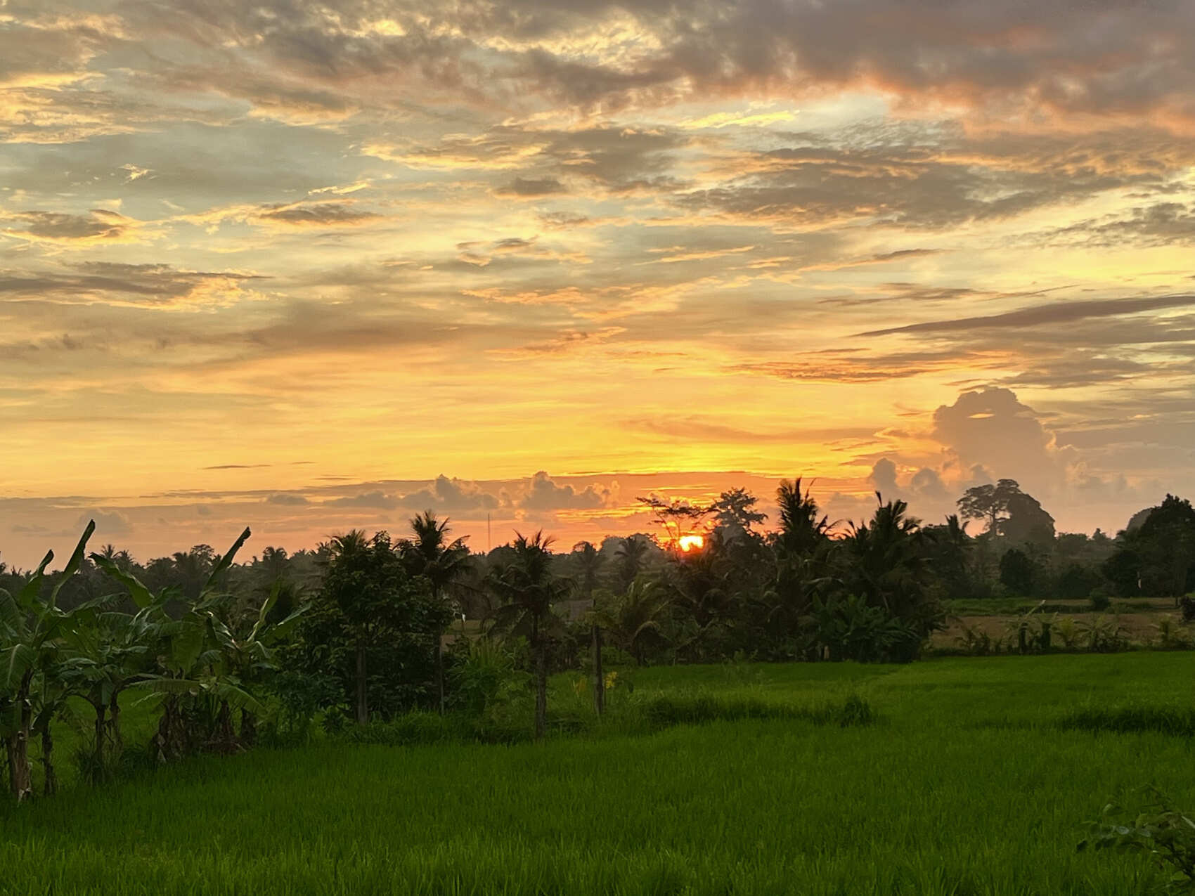 Фото-девичник на Бали за 10 дней (93/167)