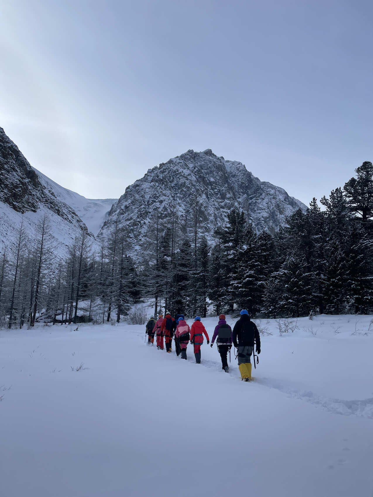 Знакомство с альпинизмом в ущелье Актру, Алтай 7 дней (37/61)