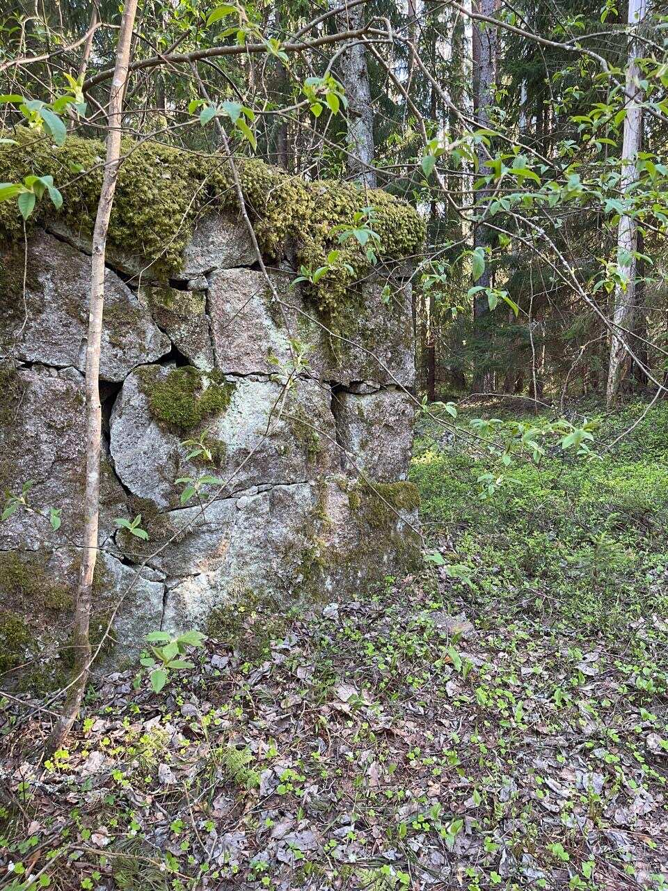 Острова и шхеры Выборгского залива. Тур на катере с гидом. (11/17)