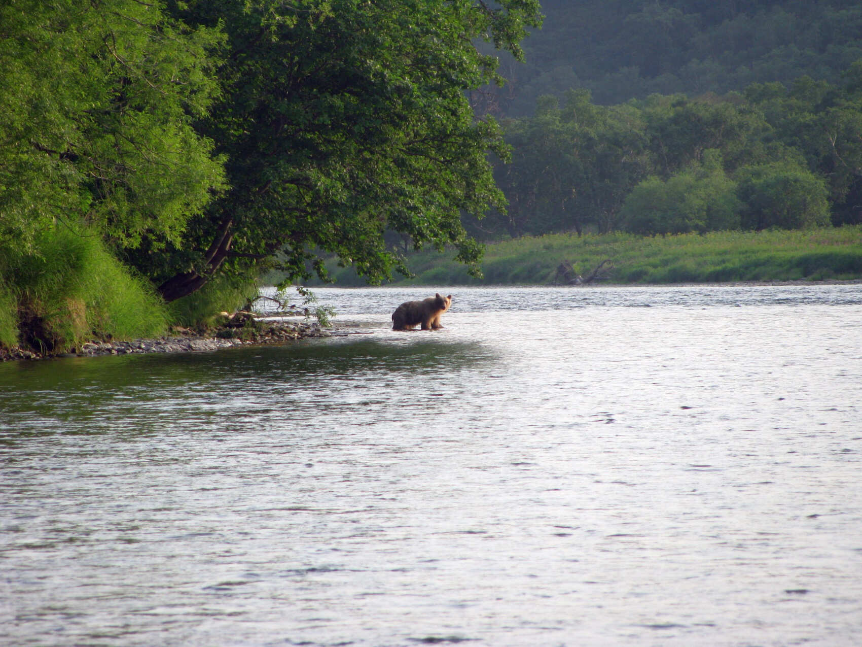 Сплав по реке Быстрая  (7/7)