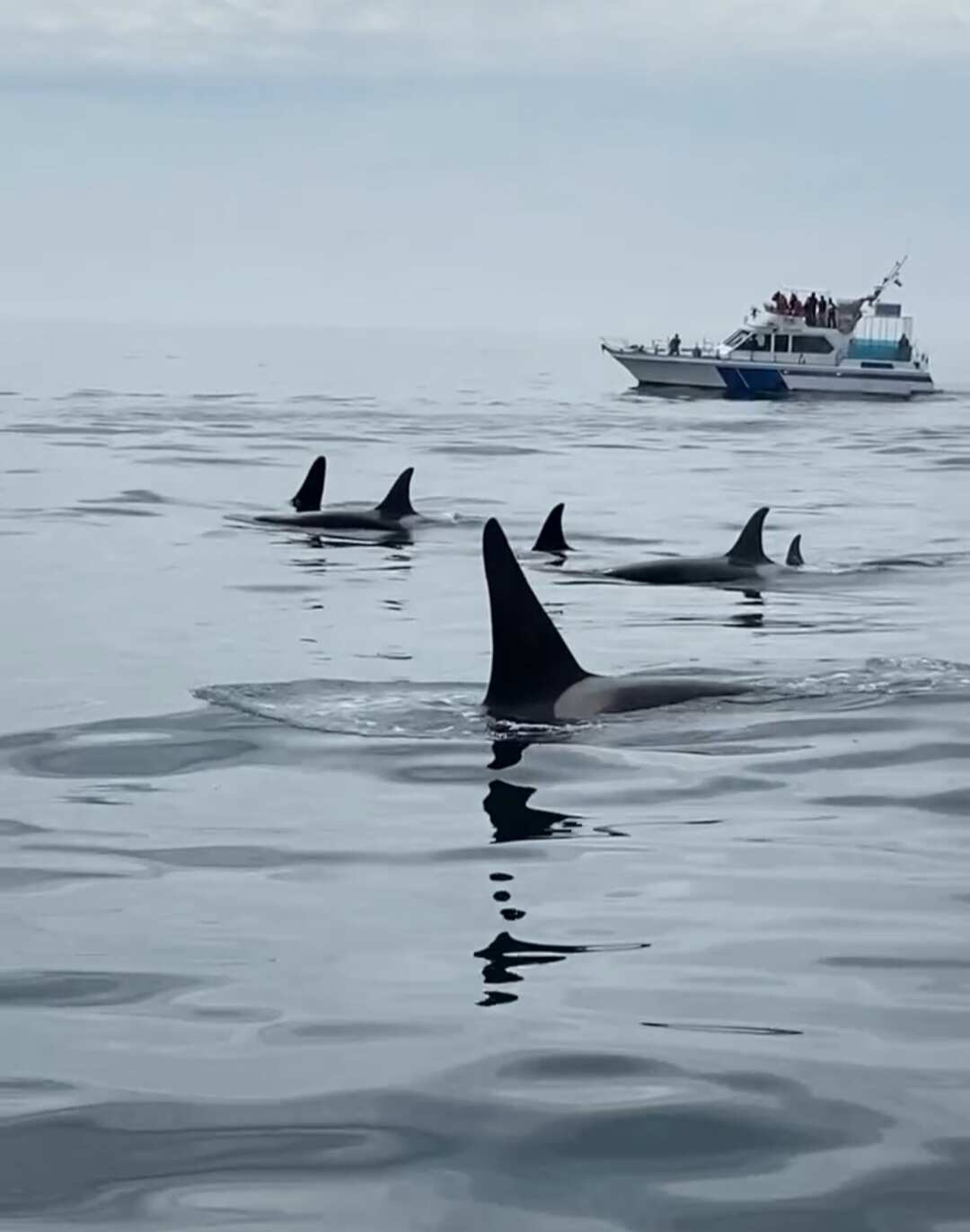 Хит Камчатки: более 20 локаций за 8 дней. Всё включено. (27/110)