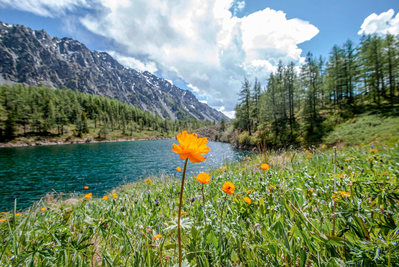 Актив-тур +: конные прогулки, сплав, трекинг, Чуйский тракт! (19/43)