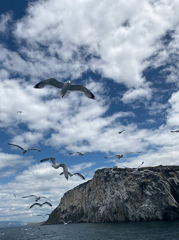 Красота и Сияние Байкала: Иркутск, Малое море, Ольхон, Огой и Сарминское ущелье! (16/69)