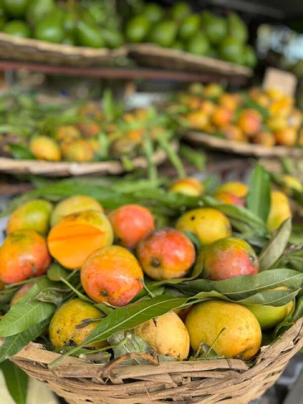 Сокровище Маврикия-Горбатые Киты И Кашалоты (28/52)