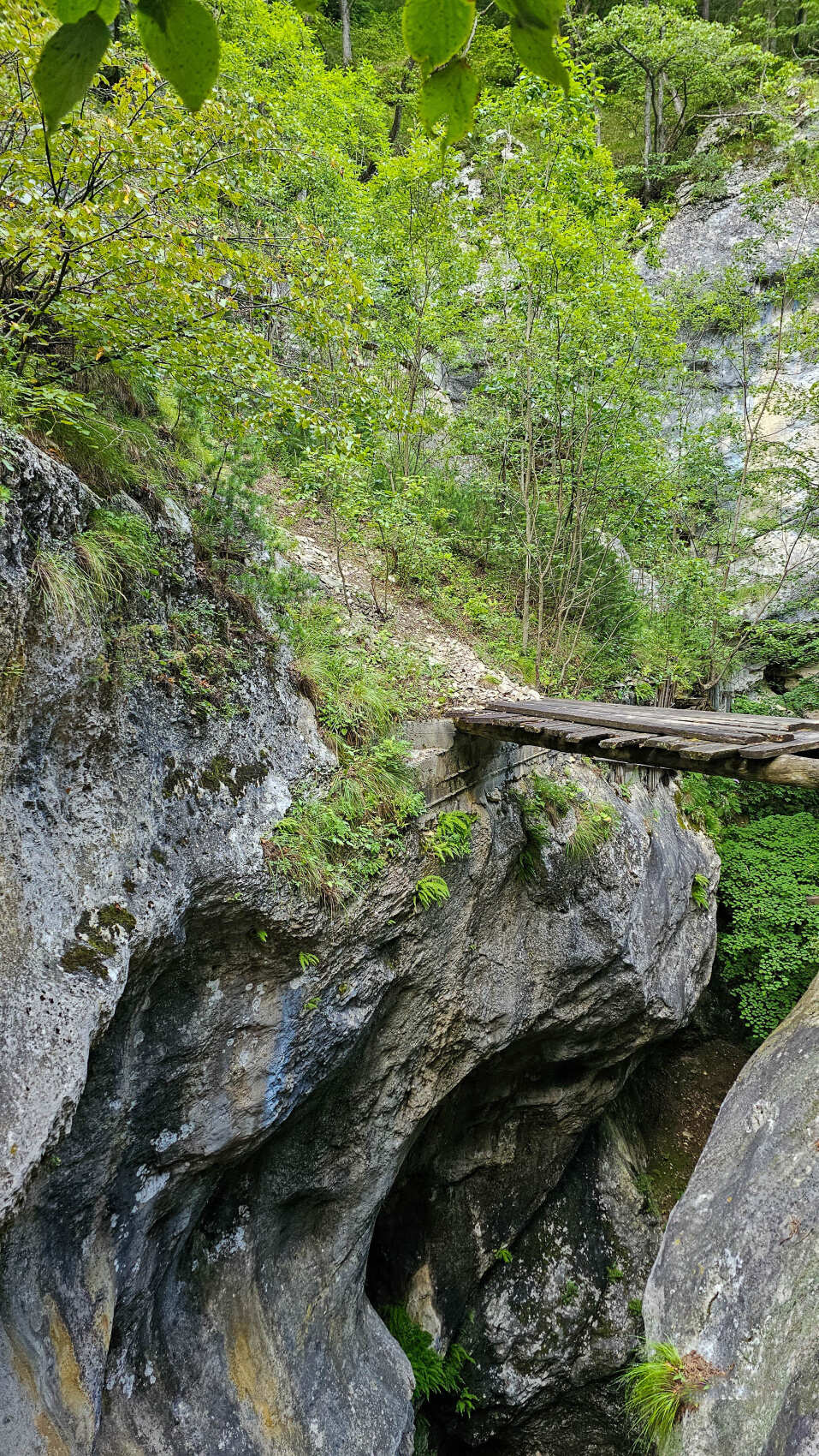 Северная Осетия. Горная любовь (из Минвод + Кисловодск) (26/121)