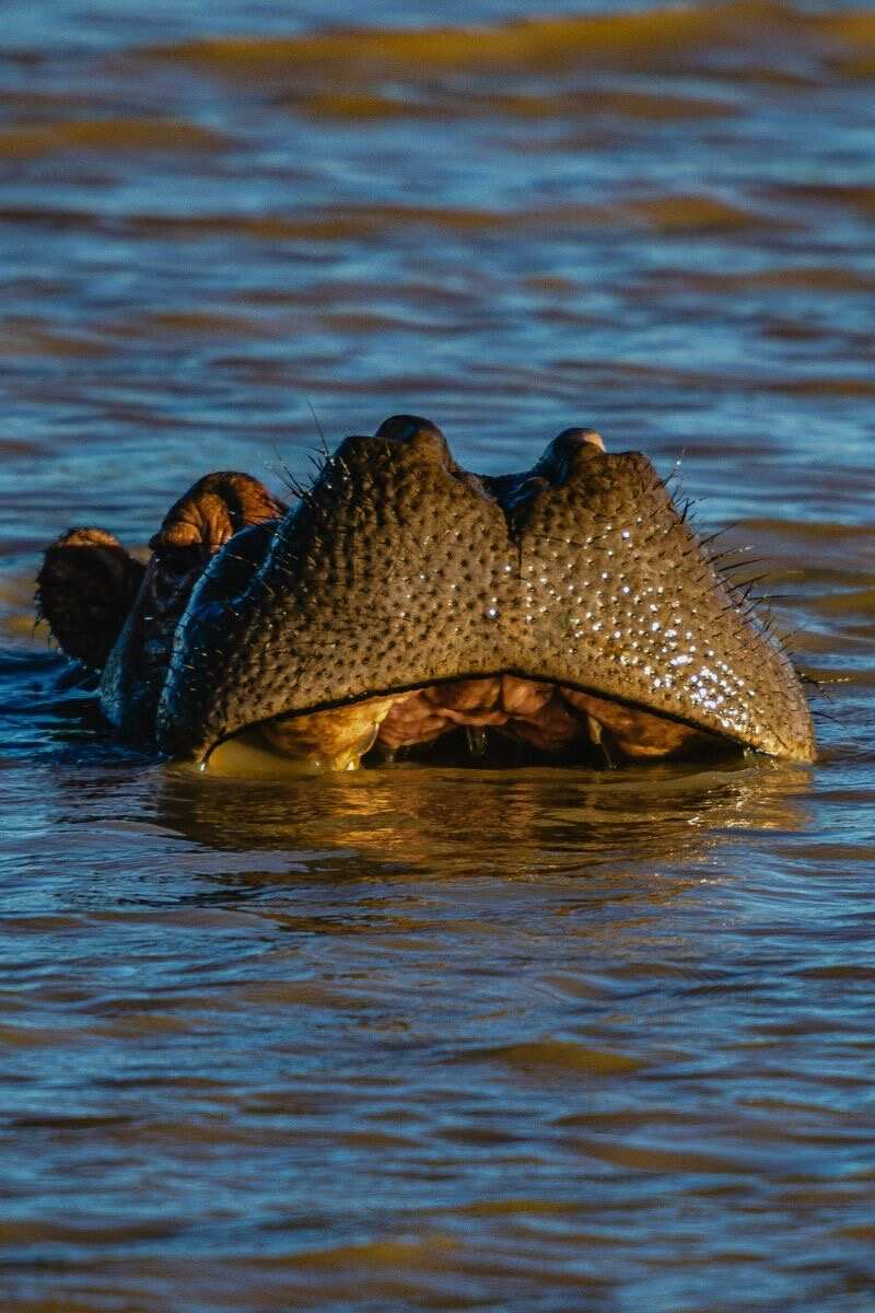 Занзибар: Приключения в Раю (11/55)