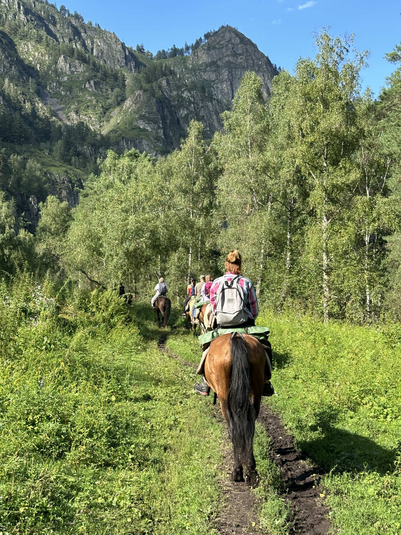 ВДОХновение Алтая (27/33)