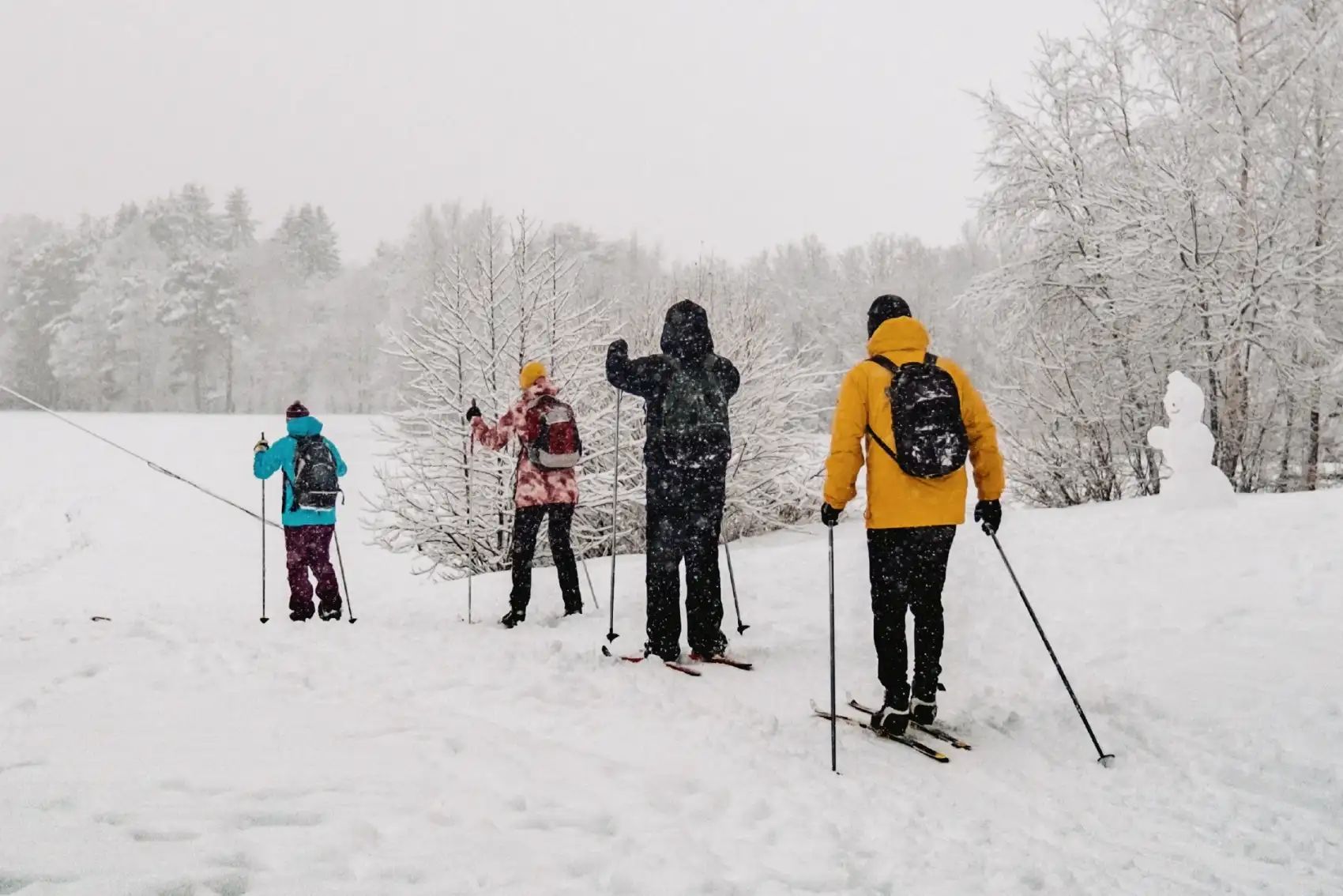 Лыжи и Спа. Однодневный выезд под Выборгом