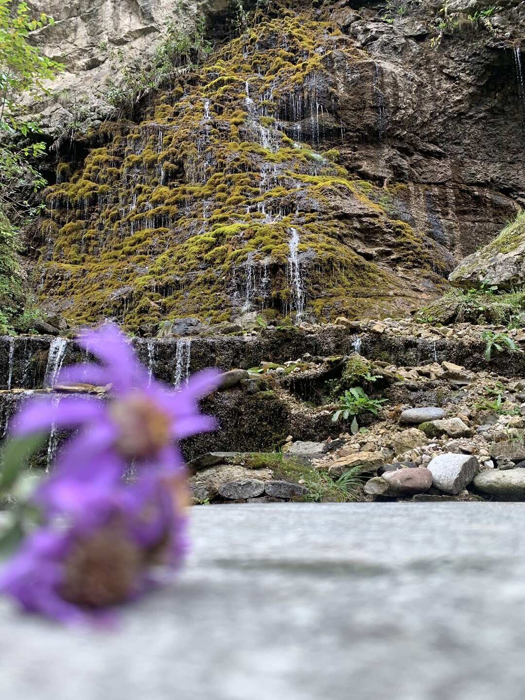Кабардино-Балкария: Тайны Гор и Долин. Из Владикавказа (38/73)