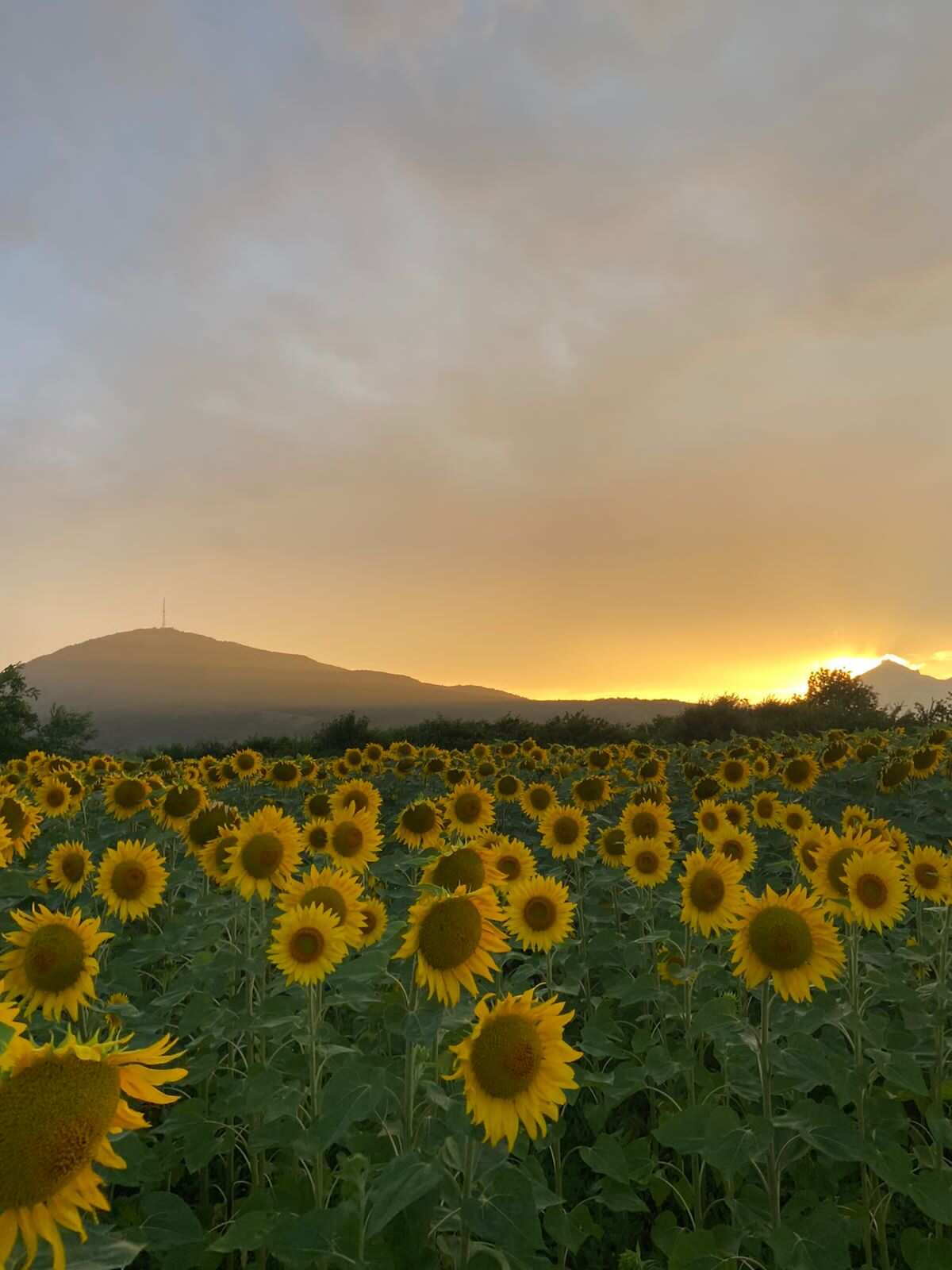 Двуглавый Эльбрус с другого ракурса (8/9)