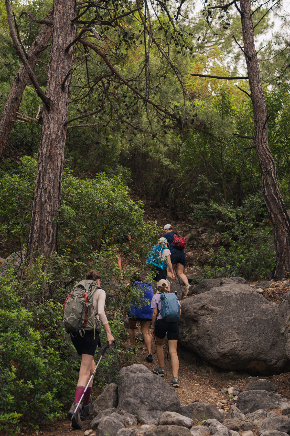 Море, горы, параглайдинг — хайкинг по Ликийской тропе с комфортом (20/64)