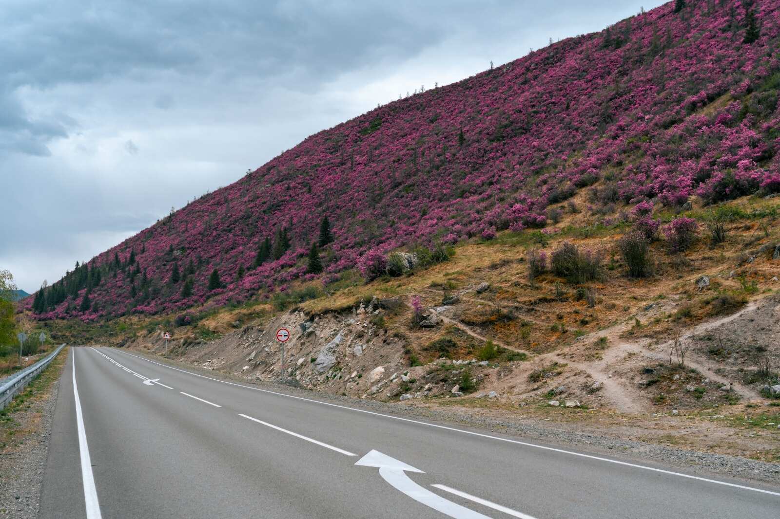 Туда, где цветет маральник (3/13)