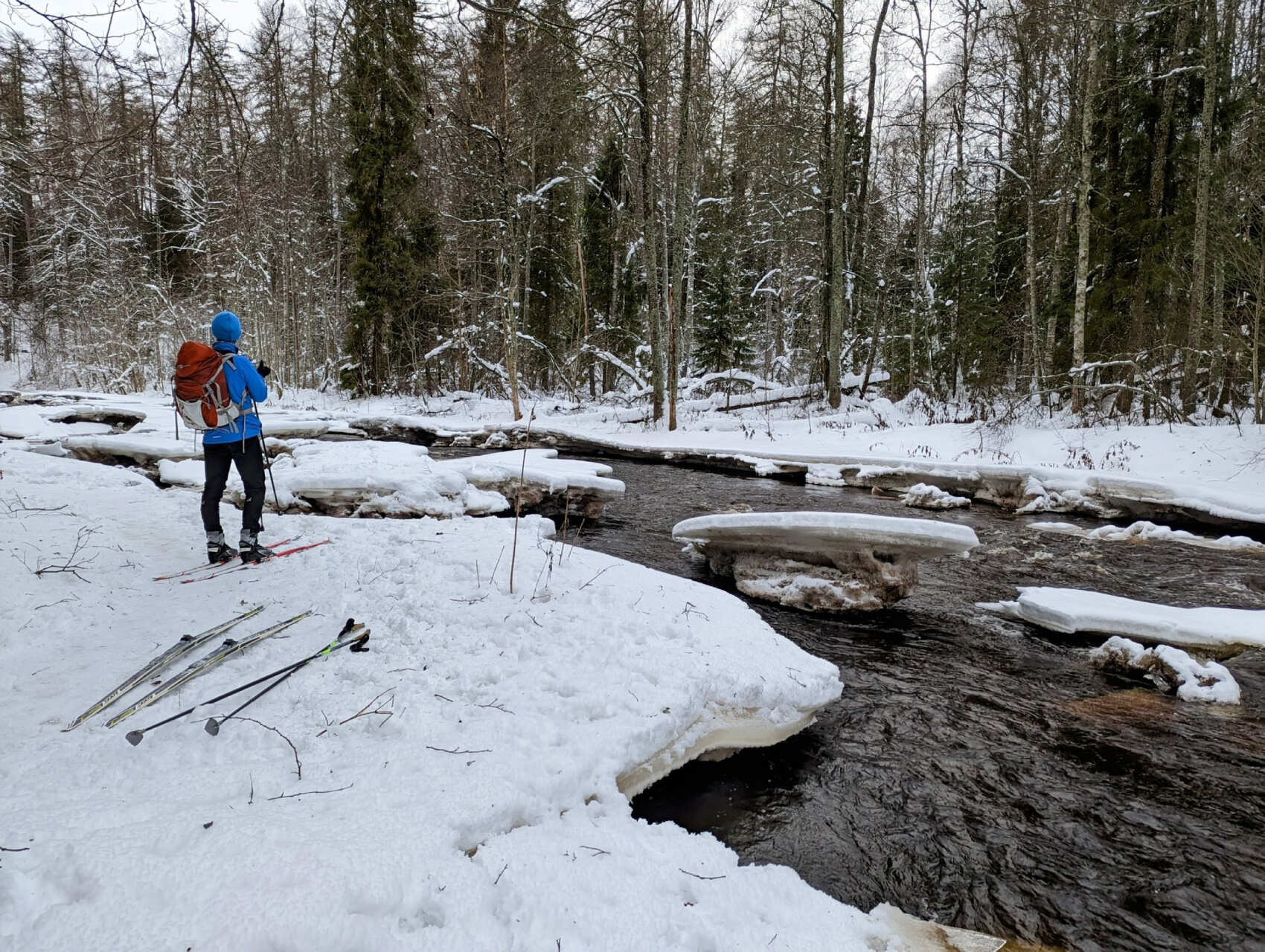 Лыжная прогулка по Линдуловской роще. Однодневный выезд из Петербурга (7/10)