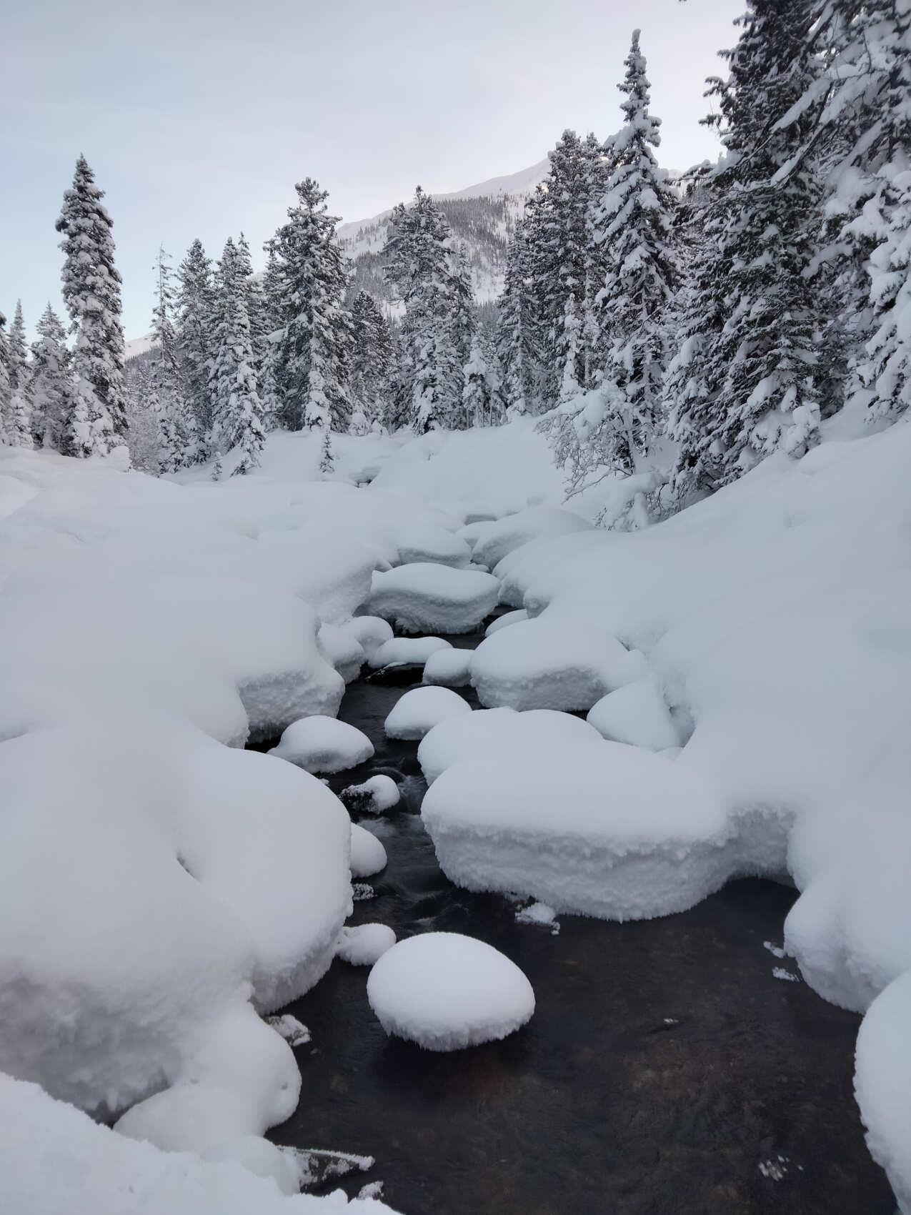 Байкал. Зимние берега, 2 дня (5/10)