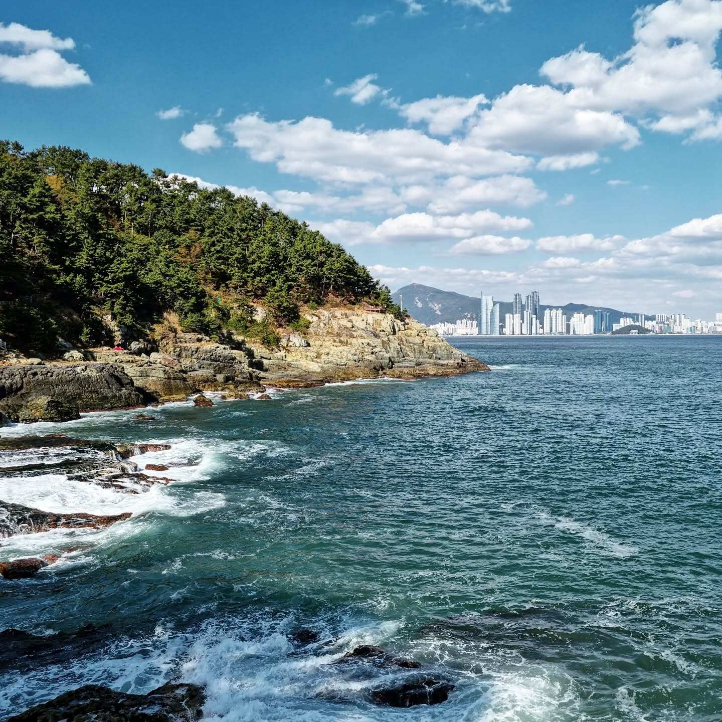 Южная Корея и остров Чеджу. (60/101)