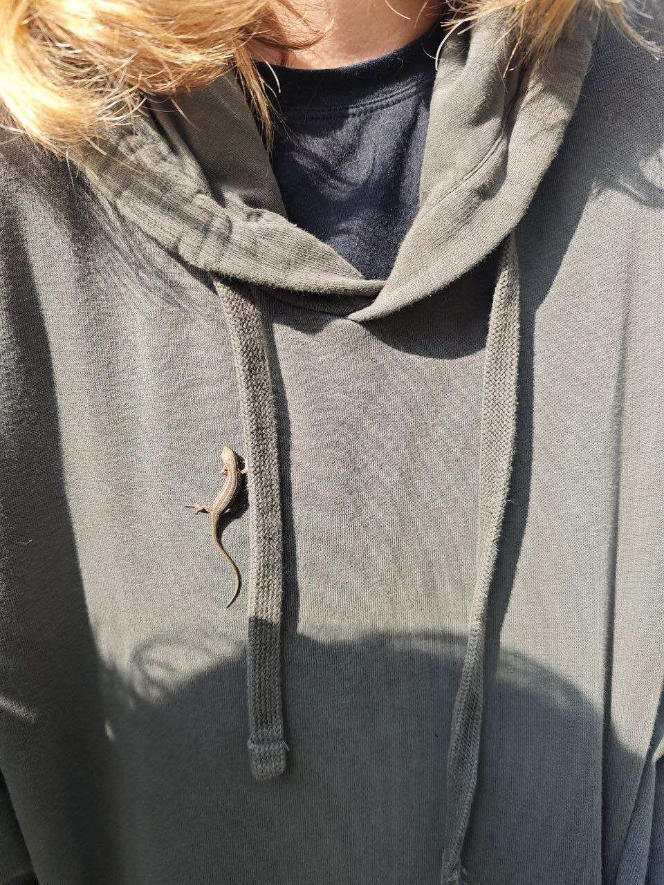 Сплав на байдарках по реке Клязьма (Подмосковье) с походной баней и казаном (23/27)