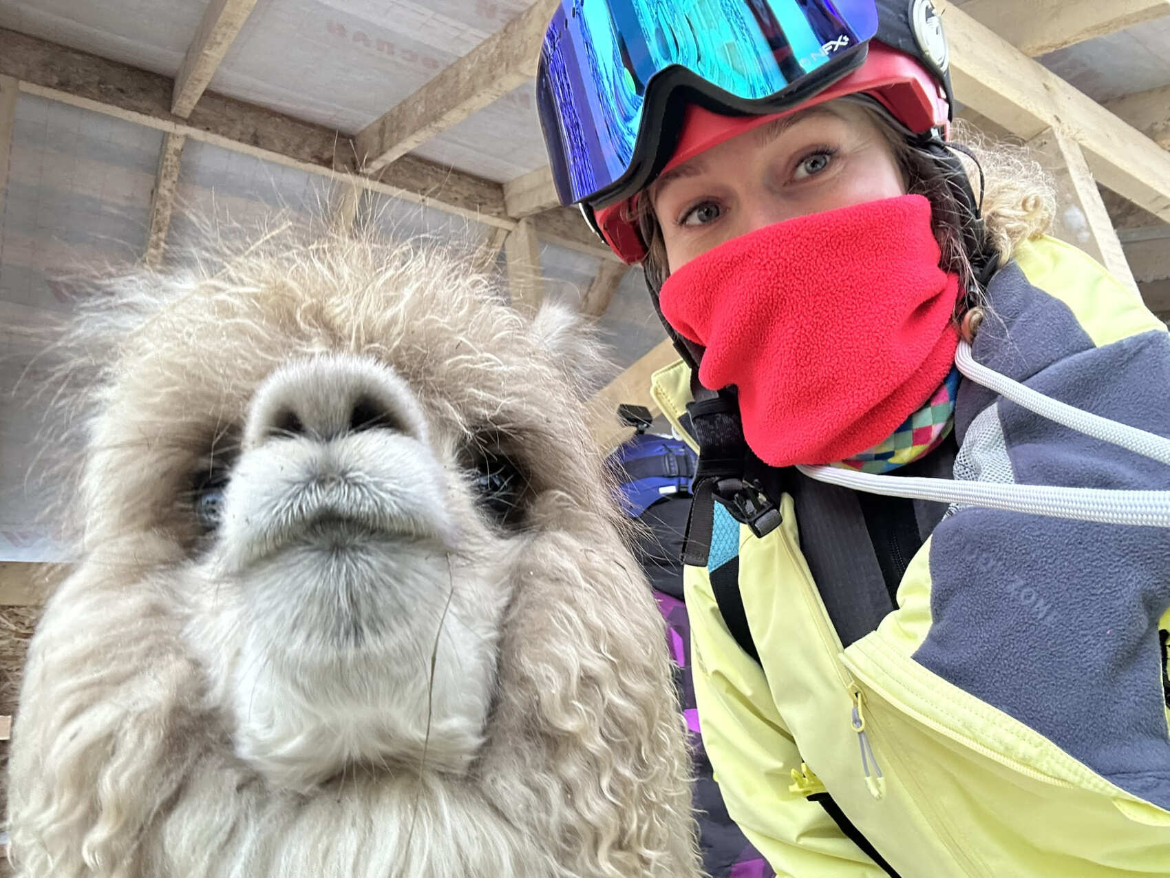 Восторг в Шерегеше! +Обучение лыжам и борду (42/68)