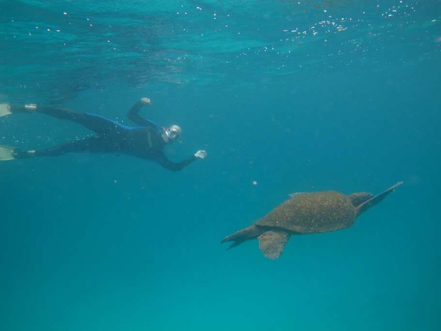 7-дневная экспедиция на Галапагосские острова: Сан-Кристобаль и остров Санта-Круз (2/8)