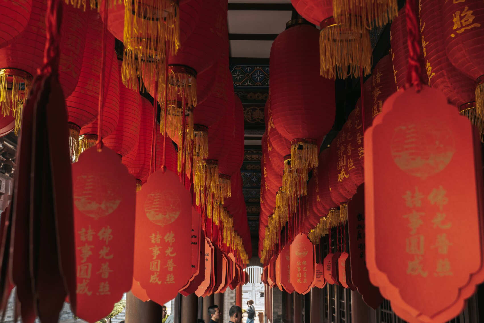 Китай.Поднебесная без границ (45/88)